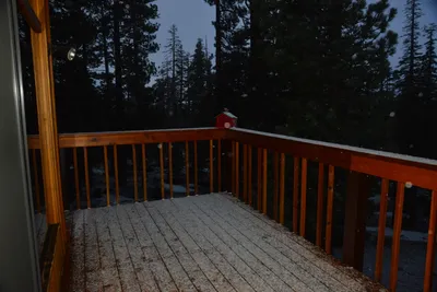 DSC_6645 (Large).JPG